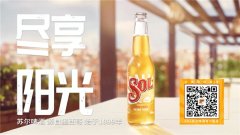 SOL苏尔啤酒® 携手Dreamstate China，28场全国巡演即将完美收官